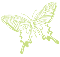 Birgit Hüter Portrait